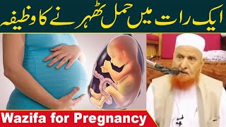 Powerful Wazifa for Pregnancy  Hamal ke Liay Powerful Wazifa  Molana Makki  Islamic Media point [upl. by Kellyann]