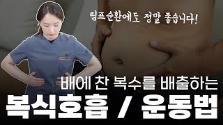 배만 내미는 가짜 복식호흡 진짜 복식호흡 배우기 feat 복수배출 관리법 [upl. by Ted168]