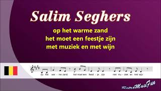 Salim Seghers  Agadou dou dou  Karaoke [upl. by Anoed92]