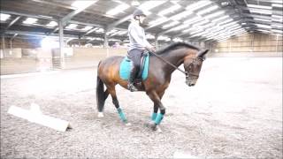 Dressage Test Riding Training Day  10th July 2016  Novice 34  Jess amp Beau [upl. by Tevis465]