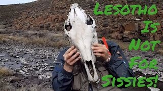 Fly Fishing Lesotho [upl. by Aihsiek]