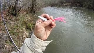 Bummers snagged on a tree Deschutes river [upl. by Gaul]