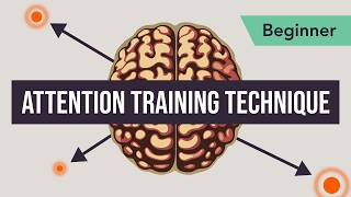 Attention Training Technique in MCT Beginner 2  series 2 [upl. by Reviel]