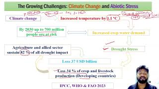 Abiotic Stress Basics explained in Hindi [upl. by Sara]