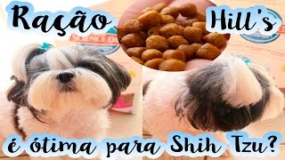 Ração Hills Raças Pequenas e Miniaturas  Resenha  Minha Experiência Com Shih Tzu ❥ Lói Cúrcio [upl. by Sydelle432]