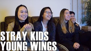 Stray Kids 스트레이 키즈 Young Wings Reaction Video [upl. by Willock]