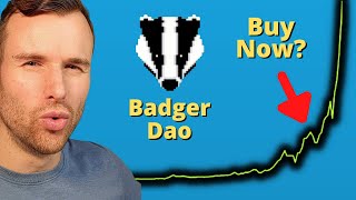 Why Badger Dao is up 🤩 Crypto Token Analysis [upl. by Asilad]