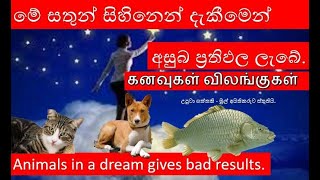 dreams  සිහිනகனவுகல்  මේ සතුන් සිහිනෙන් දැකීම හොඳයි ද උපුටා ගත්තකි [upl. by Durrace480]