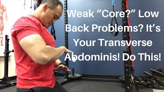 Weak “Core” Low Back Problems It’s Your Transverse Abdominis Do This  Dr Wil amp Dr K [upl. by Atiuqnahs]