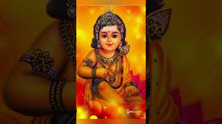 Azhagendra Solluku Murga Song TMS  Kankanda Deivam muruganbakthisongs subscribe murugansongs [upl. by Tugman103]