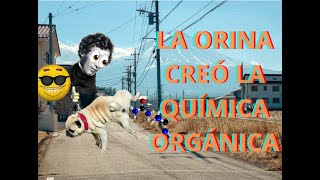 LA ORINA CREÓ LA QUÍMICA ORGÁNICA EXPLICADO [upl. by Artinak578]