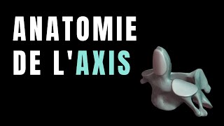 ANATOMIE DE LAXIS C2 [upl. by Ahsienar]