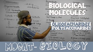 Carbohydrate part 2  Oligosaccharides and Polysaccharides  MDCAT Biology Lecture [upl. by Eyr]