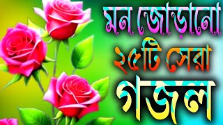 মন জোড়ানো ২৫টি সেরা বাংলা গজল  Top Islamic Gojal  Nahidghazal  Gojal Gojol Ghazal gozol [upl. by Dominus772]