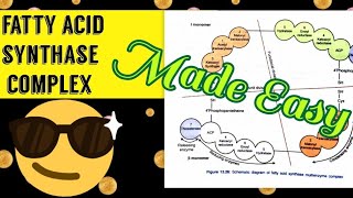 Fatty Acid Synthase Complex  Made easy 😎🔥 [upl. by Velleman]