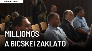 Milliárdos árbevételű cégben tűnt fel a bicskei ügy másodrendű elítéltje  Tóth Bettina [upl. by Hajin688]