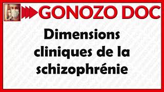 Dimensions cliniques de la schizophrénie [upl. by Latty]