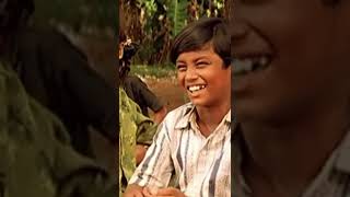 Damakku Damakku Song  Ilaiyaraaja  Parthiban  Nandita Das  Azhagi Movie  oldmemories [upl. by Maurie]