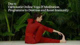 DAY 6  Carnoustie Online Yoga amp Meditation Programme to Destress and Boost Immunity [upl. by Naoj]