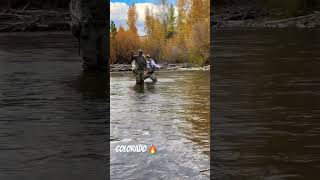 Colorado Vibes colorado silverthorne moose troutfishing blueriver flyfishing hikingadventures [upl. by Gelhar]