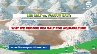 SEA SALT vs VACUUM SALT Why We Choose Sea Salt for Aquaculture [upl. by Hsihsa]