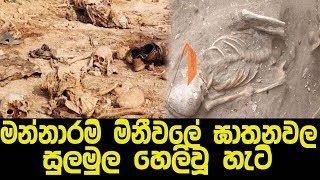 මන්නාරම සමුහ මිනිවල [upl. by Anirtal658]