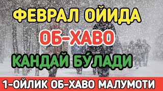 УЗБЕКИСТОНДА ФЕВРАЛ ОЙИДА ОБХАВО КАНДАЙ БУ́ЛАДИ  FEVRAL OYIDA OBHAVO QANDAY BOLADI [upl. by Salema498]