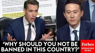 FIERY Josh Hawley Piteously Grills TikToks CEO At Senate Hearing On Online Child Safety [upl. by Elihu]