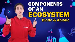 Components of an Ecosystem  Biotic and Abiotic  Biology  Class 8 ICSE  Home Revise [upl. by Hauck330]