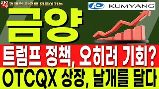 📈 금양 Kumyang 전기차 시대의 숨겨진 보석 🚀 현대차 100조 투자 🔥 금양 2차전지 대전 승자는 장교수 [upl. by Ddarb]