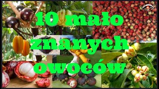 10 mało znanych owoców w Polsce [upl. by Anahc264]