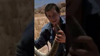 beargrylls memes shortsfeed youtubegrowth viral viralshorts trendingmemes 1million fyp 1v1 [upl. by Nani]