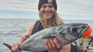 Hooked a Tuna Livestreaming in the First 6 Minutes [upl. by Odnam]