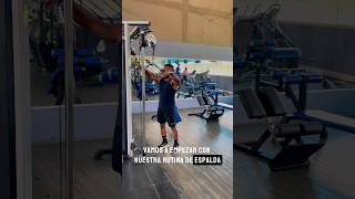 Rutina de espalda gym gymaddict gymmotivation gymlife gymlover [upl. by Pepito972]