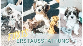 Welpen Erstausstattung für Havaneser und kleine Hunde I Fibis Adventures [upl. by Idieh]