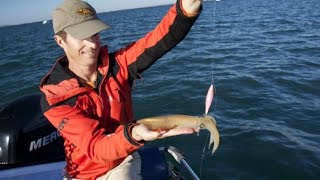 Pêche des calamars à la turlutte en bateau Oblades et Serran aux leurres Europêche34 [upl. by Anairotciv362]