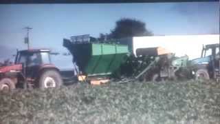 Beet harvester Armer salmon st3 [upl. by Ettelrac]