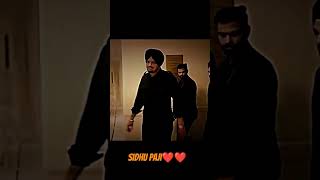 pbx1 song sidhumoosewala viralshort trending like 1ksubscribers [upl. by Fusuy912]