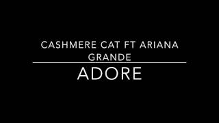 Cashmere Cat ft Ariana Grande  Adore Empty Arena [upl. by Inkster733]