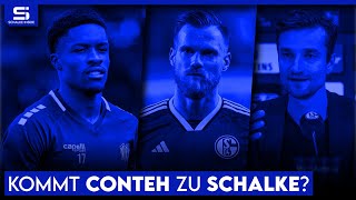 Holt Schalke Conteh OsnabrückSpiel vor Absage Kalas will bleiben  S04 NEWS [upl. by Dowell]