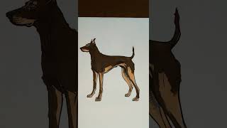 Lets color Doberman Pinscher together dogcoloringbook [upl. by Divadnahtanoj]