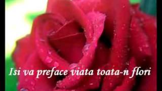 Alla Pugacheva  Milioane De Trandafiri Rosii Million Roses  Milion Alix Roz [upl. by Otxis500]