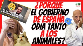 ⛔️ NUEVA LEY DE BIENESTAR Y PROTECCIÓN ANIMAL 2022 ⛔️ EN ESPAÑA [upl. by Akfir]