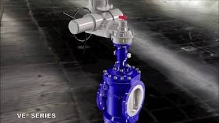 VE DBB Expanding Plug Valve [upl. by Emelda2]