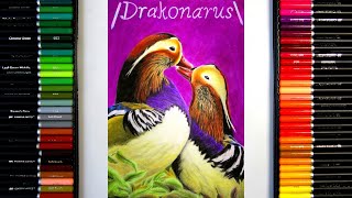 Drawing Mandarin Ducks  4KUHD  Drakonarus [upl. by Ekud]