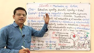 Diuretic Part 08 Final Potassium Sparing Diuretics Mechanism of Action  Potassium Sparing [upl. by Etem]