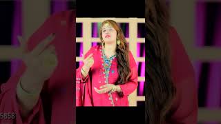 Challa Mera Jee Dhola By Fiza Mahi New Song 2024 TS Song [upl. by Yand]