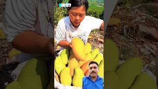 Chinese mango 🥳🥳🥳 mango satisfying papaya viralreels comedy woodcrafts shortsfeed reaction [upl. by Samella]