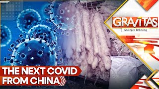 Next Covid From China Killer Virus Found in Chinese Fur Farms  Gravitas LIVE  WION World News [upl. by Marler]