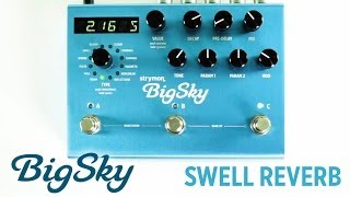 Strymon BigSky  Swell Reverb machine audio demo [upl. by Zanze319]